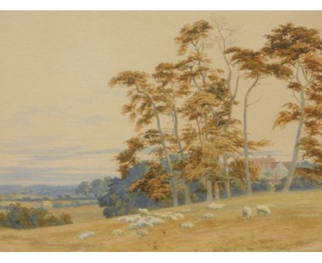 Alice Manly (c.1846-1923). Sketch East Grinstead, sheep in a field before trees and houses, watercolour, monogrammed, Label v
