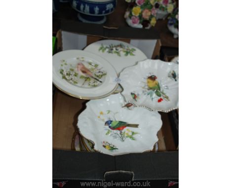 A quantity of Bird display plates including Royal Worcester, Franklin, Boehm, etc