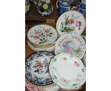 A quantity of display plates including Floral Spode, Ribbon Coalport, Bisto, etc