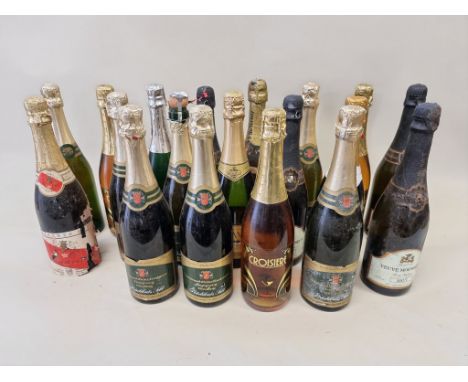 Nineteen various bottles of sparkling wine, to include perry. (19)