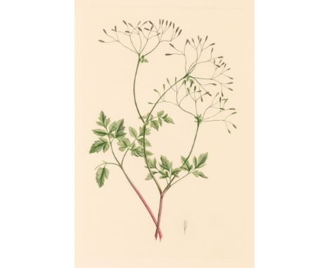 BANKS, JOSEPH, Sir Banks' Florilegium ... seven hundred and thirty-eight copperplate engravings of plants collected on Captai