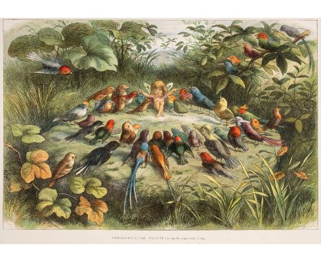 Doyle (Richard). In Fairyland, A Series of Pictures from the Elf-World, with a poem by William Allingham, 2nd edition, London