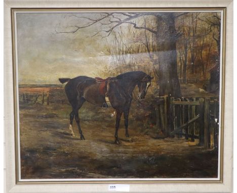 N. Drummond, oil on canvas, Saddled horse at a country gate, signed, 62 x 75cm