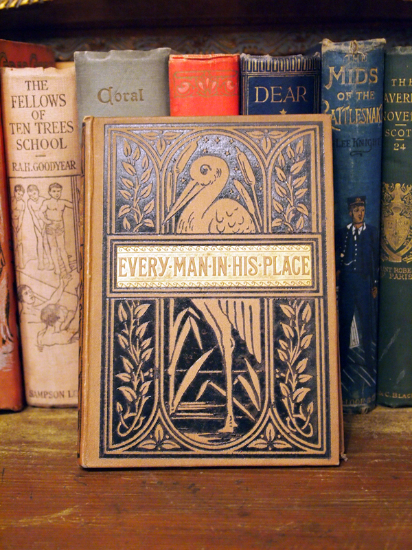 Collection of Victorian and Edwardian books (13 items)