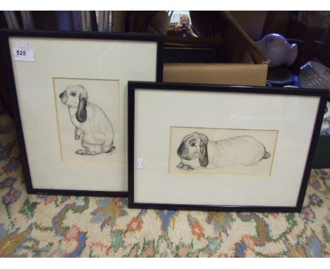 2 ORIGINAL PENCIL STUDIES OF RABBITS BY R. GILBERT 