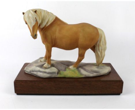 A Royal Worcester model of a Shetland PonyModelled by Bernard Winskill, numbered 53, raised on wooden plinth base, length 27c