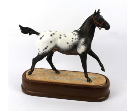 A Royal Worcester model of an Appaloosa Stallion Modelled by Doris Lindner, 1969, raised on oval wooden plinth base, length 2