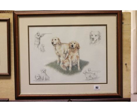 Framed & Glazed Print of a Golden Retriever Gundogs by Nigel Hemming