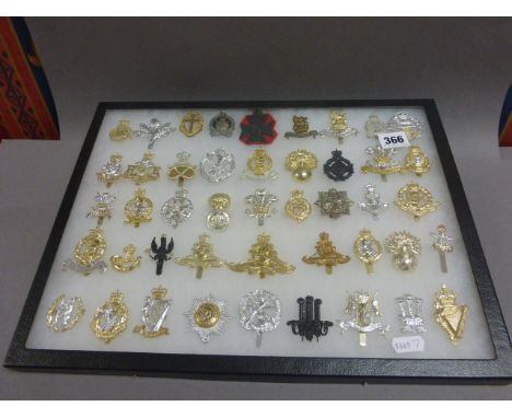 Case of 45 British Army Cap Badges (Post 1953) Metal and Anodised including Army Legal Corps
