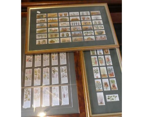 Three Framed Sets of Cigarette Cards, Garden Theme 