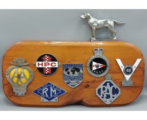 A collection of seven motor car badges to include Upper India AA, The Riley R.M. club, HPC, Daily Express London to Sidney ma