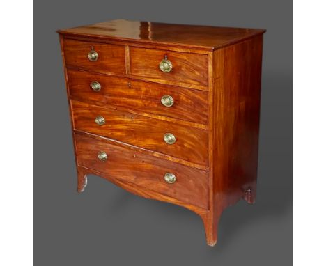 A 19th Century mahogany chest, the moulded top above two short and three long drawers with oval brass handles raised upon bra
