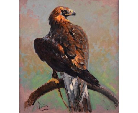 Malcolm Coward (b.1948) Study of a Perched Eagle, signed indistinctly lower left, oil on board, 46 x 40 cm, frame 64 x 58 cm,