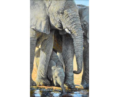 ARR Tony Forrest (b.1961) Elephants at a Watering Hole, signed lower right, oil on canvas, 40 x 25 cm, frame 61 x 46 cmDe Mon