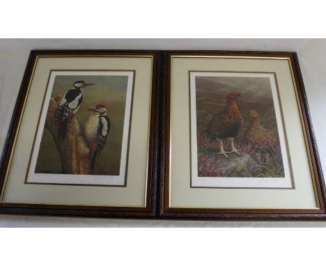 Two framed limited edition prints signed in pencil Robert Fuller, depicting Grouse (48/850) &amp; Male and Female Great Spott