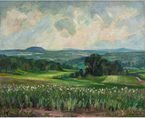 Schober, Peter JakobGschwend, 1897 - Beilstein, 198365 x 81 cm, R.Schwäbische Landschaft, Blick auf den Lemberg, 1942. Öl auf