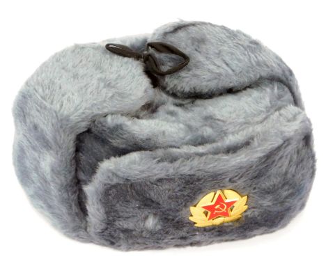 A USSR Army winter hat.