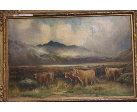 A FRAMED OIL ON BOARD DEPICTING HIGHLAND CATTLE SIGNED "M HADFIELD" 90 X 63 CM