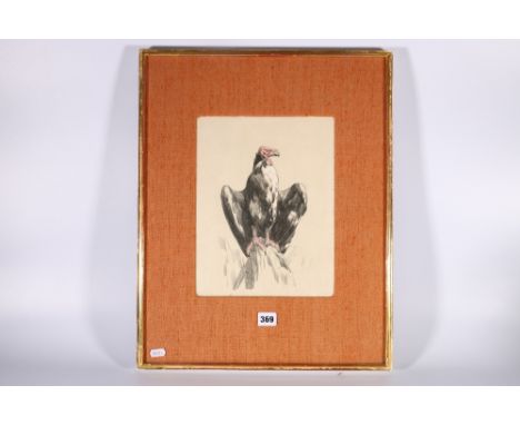 Manner of PAUL JOUVE (French 1880-1973) ?&nbsp;Vulture&nbsp;Pencil sketch with highlights, signed P Jouve, 30cm x 23cm 