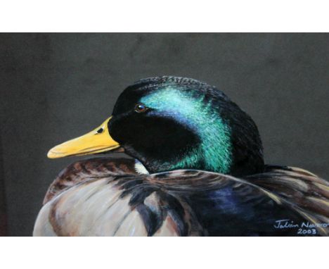 Julian Novorol (b1949), portrait of a drake, watercolour, 30cm x 23cm, signed and dated 2003 lower right, glazed and framed 4