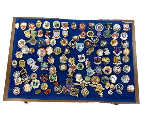 Glazed case containing a collection of enamel pin badges, mostly of local interest