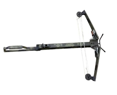 Group of long bows and a crossbow