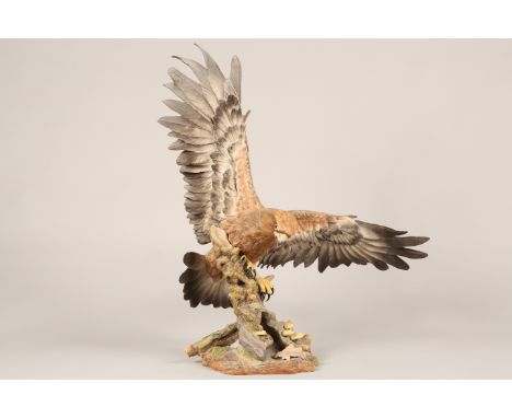 Limited edition Boehm Bone Porcelain figure, Golden Eagle No25/100, model No10189 dated 1989. Hand crafted from the Boehm stu