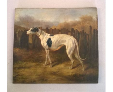 After John Frederick Herring.19th century oil on panel of a greyhound. 28 x 32cm. Vendor attributes to Herring as a smaller p