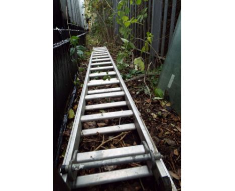 A 14-rung extendable ladder