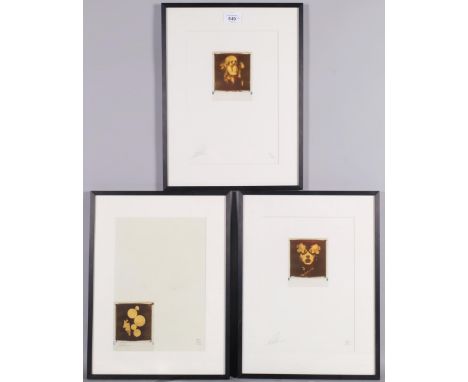 Andrew Millar, 2 gold leaf photographic images, signed in pencil, from an edition of 50 copies, framed with gallery labels ve