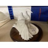 Ceramics: