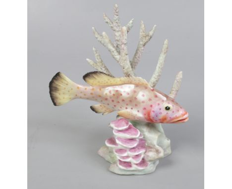 A Royal Worcester porcelain figure of a fish red hind modelled by R. Van Ruyckwilt.Condition report intended as a guide only.