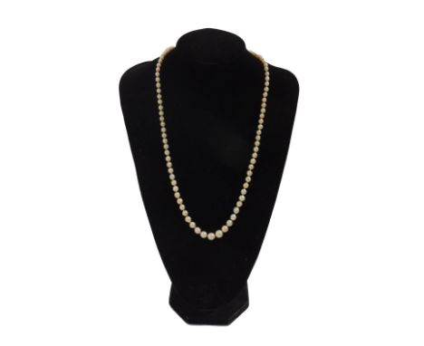 A single row natural pearl necklace, graduating from 4mm - 9mm, on an Art Deco sapphire set clasp, white metal stamped 14ct, 