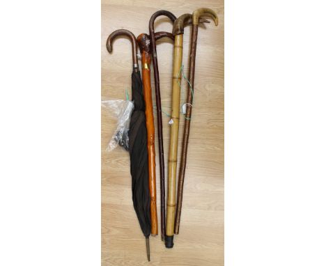 A silver collared umbrella, a silver tipped walking stick, two horn handled walking sticks and another, and a horn dog's head