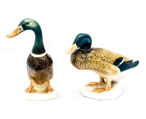 Two Beswick drakes, 817 and 902 models
