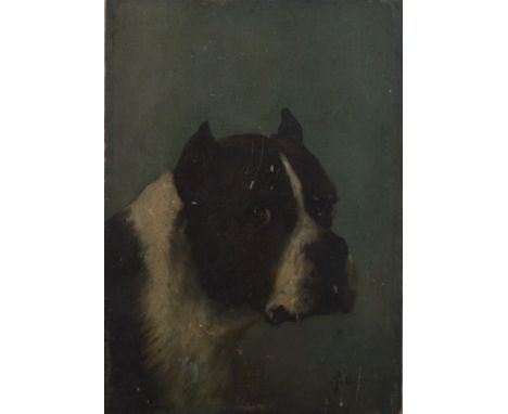 Oil on panel, of a boxer with clipped ears, monogrammed to the bottom right S.G., unframed, 22cm x 15.5cm 