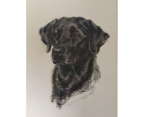 English school, study of a labrador, watercolour, signature indistinct, 33 x 27 cm, another, and a print (3) 