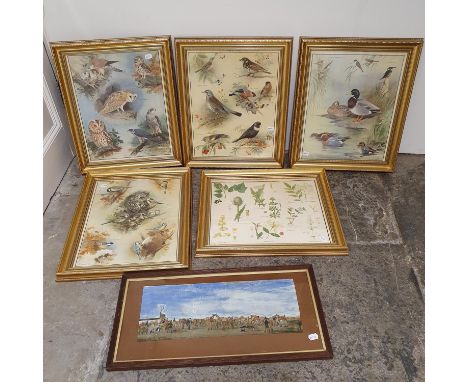 Various pictures and prints (qty) 