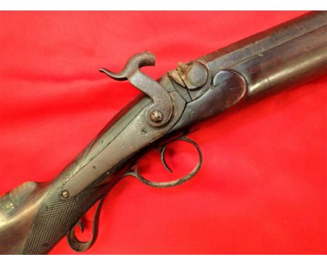 1840s huge English converted percussion black powder fowling musket. Features good dark wood stock with chequering to grip, 1