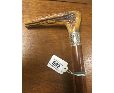 Walking stick with horn handle and silver band (Chester 1900)