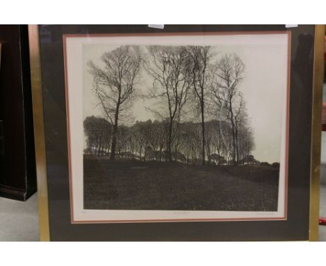 Phil Greenwood limited edition print Winter Light 120/150 signed in pencil 50 x 56 cm 