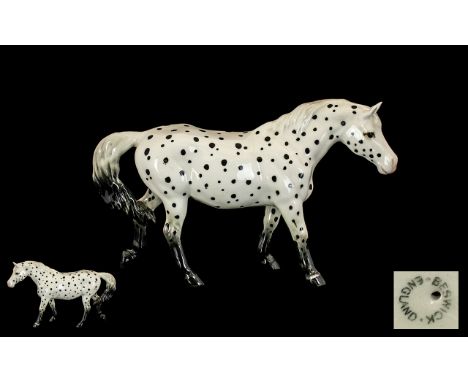 Beswick Horse Figure ' Appaloosa ' Spotted Walking Pony. Model No 1516. Designer A. Gredington. Issued 1957 - 1966. Height 5.