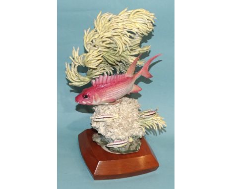 A Royal Worcester model group of a "Squirrel Fish" by Ronald van Ruyckevelt,&nbsp;no.118/500, on fitted wooden base, (small l