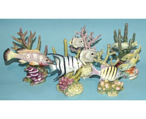 A group of five Royal Worcester fish models: "Yellow Grunt" no.3576, 15cm high, "Four-eyed Fish" no.3573, 14cm high, "Sergean