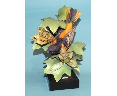 A Royal Worcester porcelain figure "Baltimore Oriole", with printed and impressed marks, 25cm high (including stand), (some d
