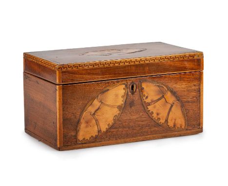 A GEORGE III INLAID MAHOGANY TEA CADDY rectangular, inlaid with shells, the lid with Greek Key borders, the interior with thr