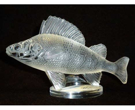 A rare glass continental accessory mascot, produced by Rene Lalique. It depicts a swimming Perch, with raised dorsal fin & an