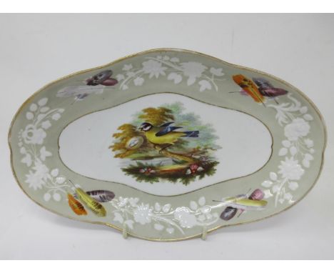A Spode shaped oval Dessert Dish painted Blue Titmouse, floral moulded and feather painted border, 10 1/4in, titled verso, Sp