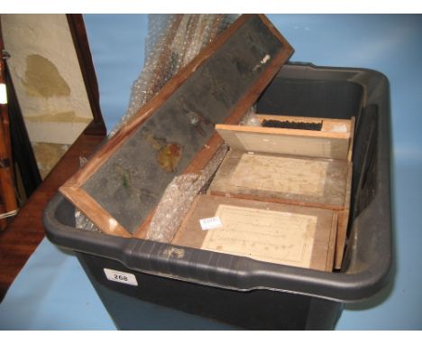 Box containing a quantity of various mounted and boxed lantern slides