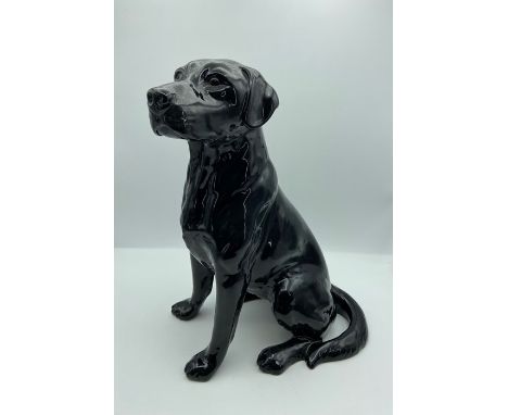 A large Beswick black Labrador dog model no 2314 large produced 1970-1989 in black gloss designed by Graham Tongue 34 cm tall